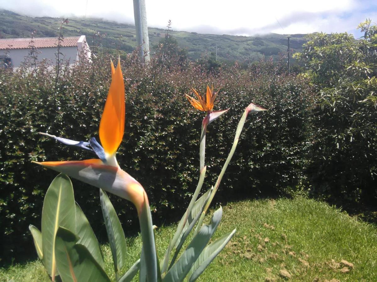 Casa Da Ribeira Panzió Lajes do Pico Kültér fotó