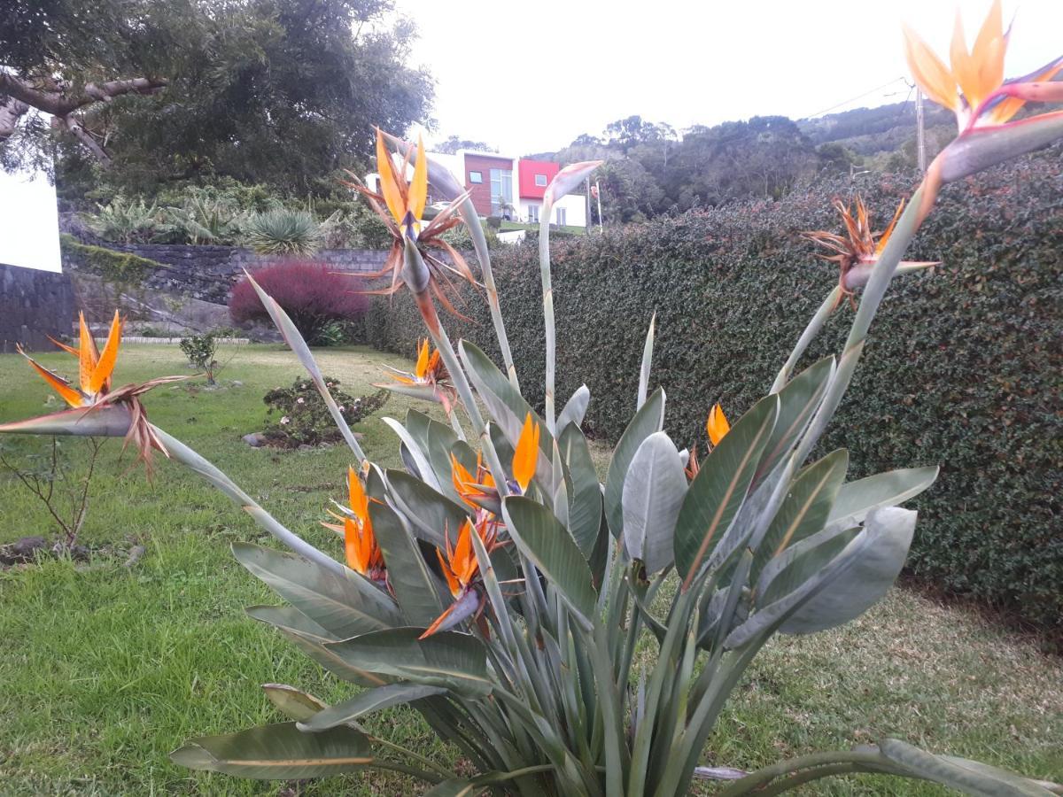 Casa Da Ribeira Panzió Lajes do Pico Kültér fotó